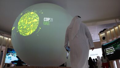 كوب٢٨